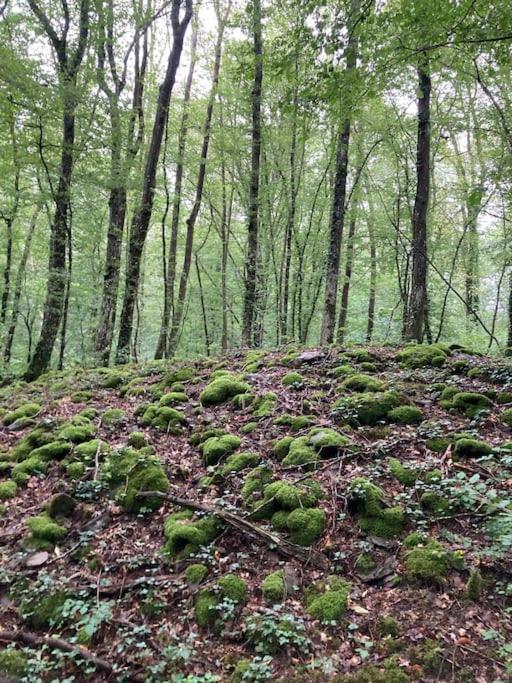 La Cabane, Durbuy Eksteriør billede